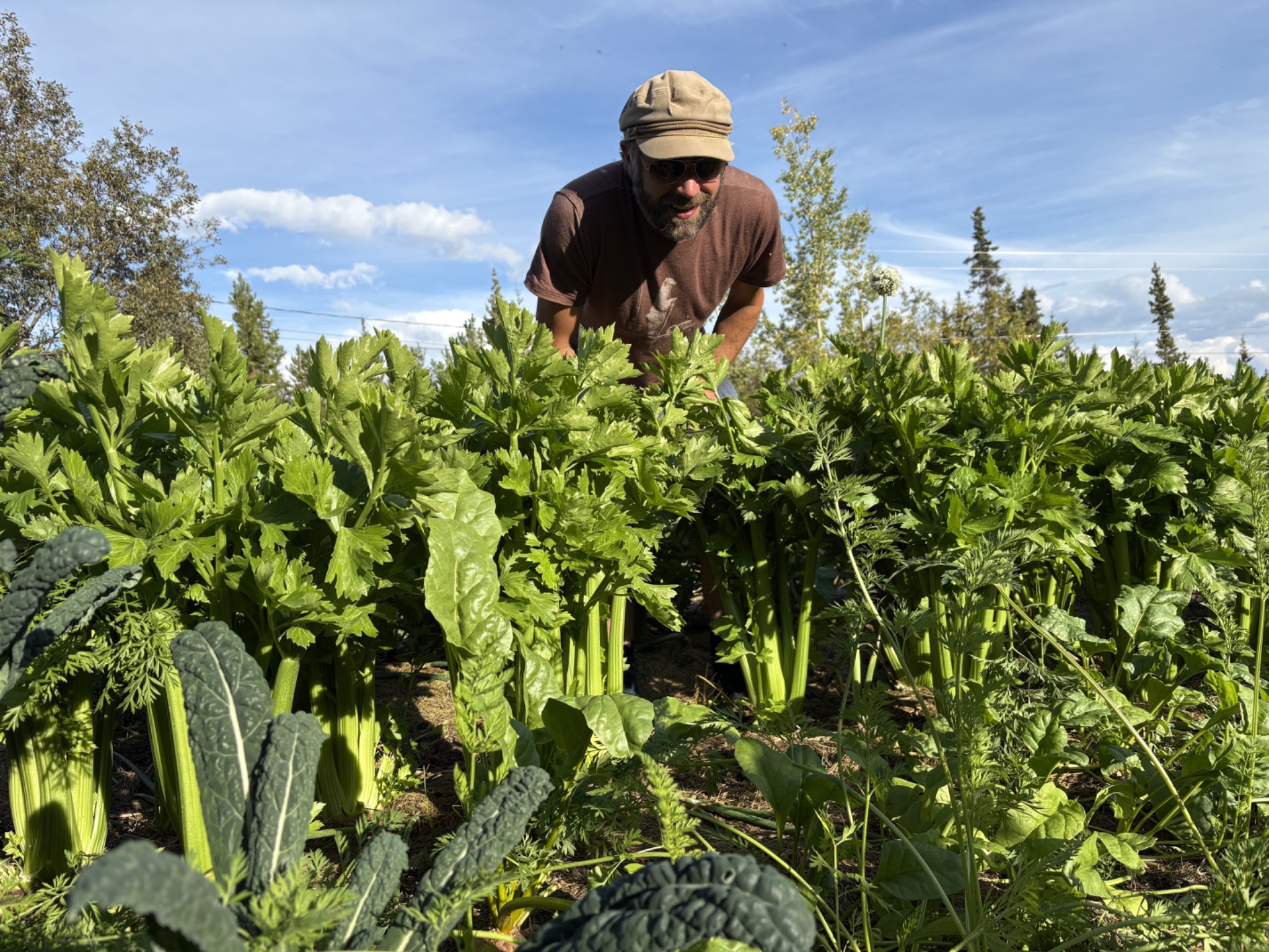 D smiling behind a wall of celery and kale at harvest